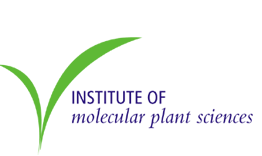 IMPS logo